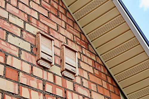 Kenley Bat House - Handcrafted Bat Box For Outside From Cedar Wood - Weatherproof Bat Houses For Outdoors - Bat Boxes Designed To Attract Bats - Easy For Bats To Land And Roost - Quick Installation #TOP6