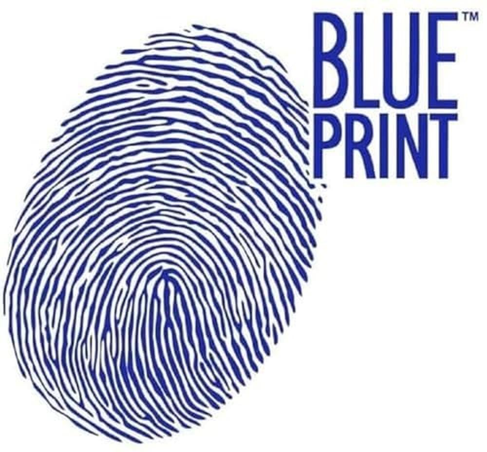 Blue Print ADJ134217 Kit Pastiglie Freno Posteriori Per Land Rover Discovery 2 / Range Rover P38 - Disco, Qualità OEM, Freno Auto - 2