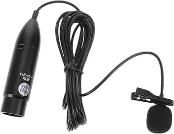 61bBJg6f4cL._AC_UF350,