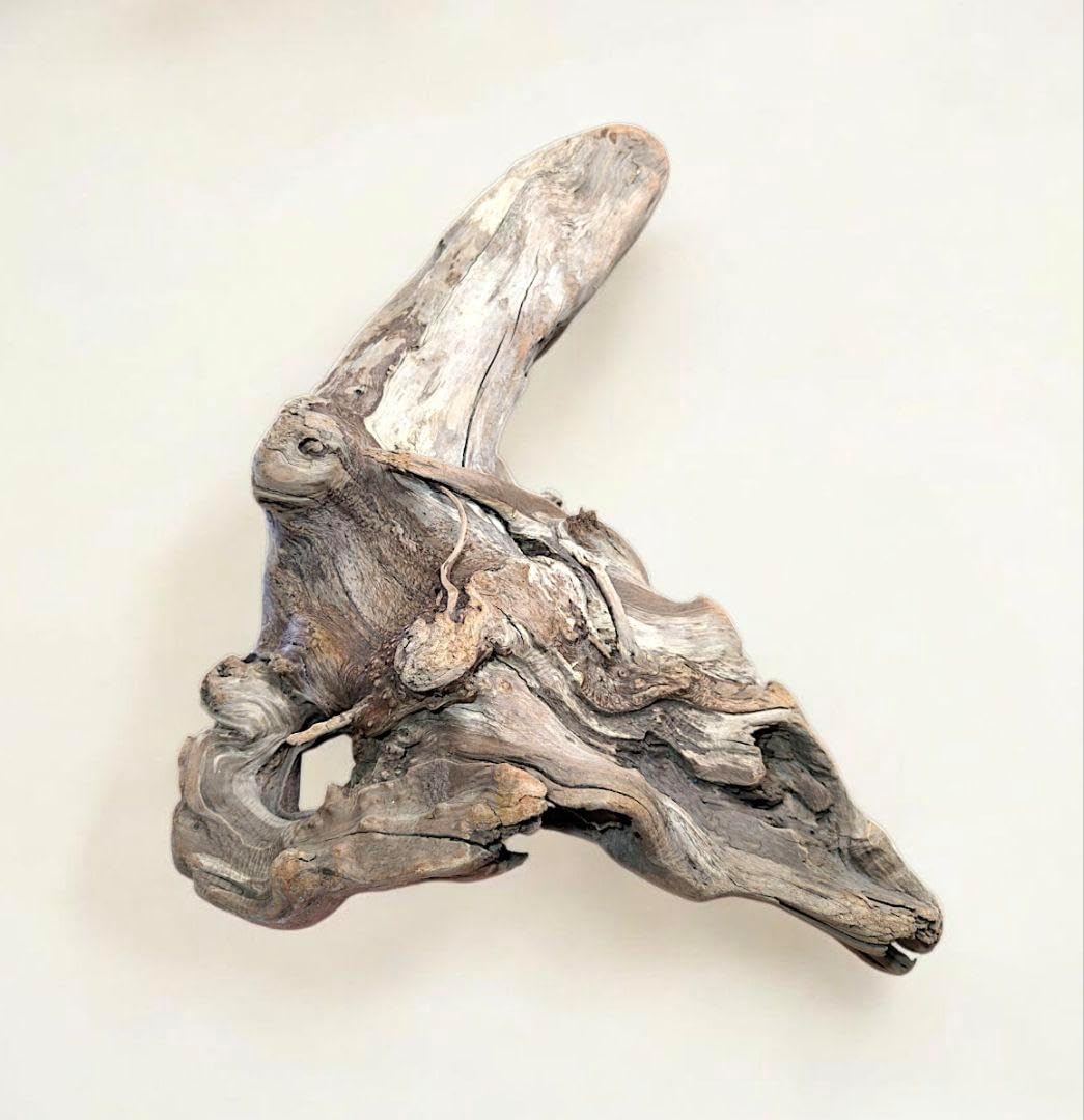 ラスト価格 FIDRIO フィデリオ2本セット ラスト価格 FIDRIO フィデリオ