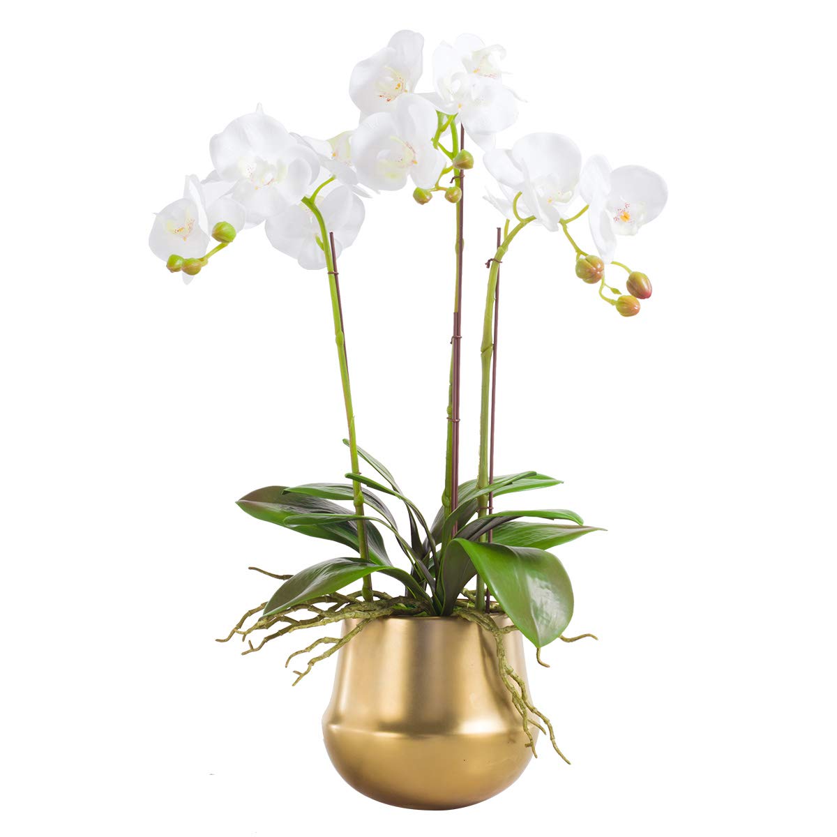 Buy Artificial Silk Moth Orchid Flowers Potting in Matte Gold Ceramic Vase, Natural Looking
