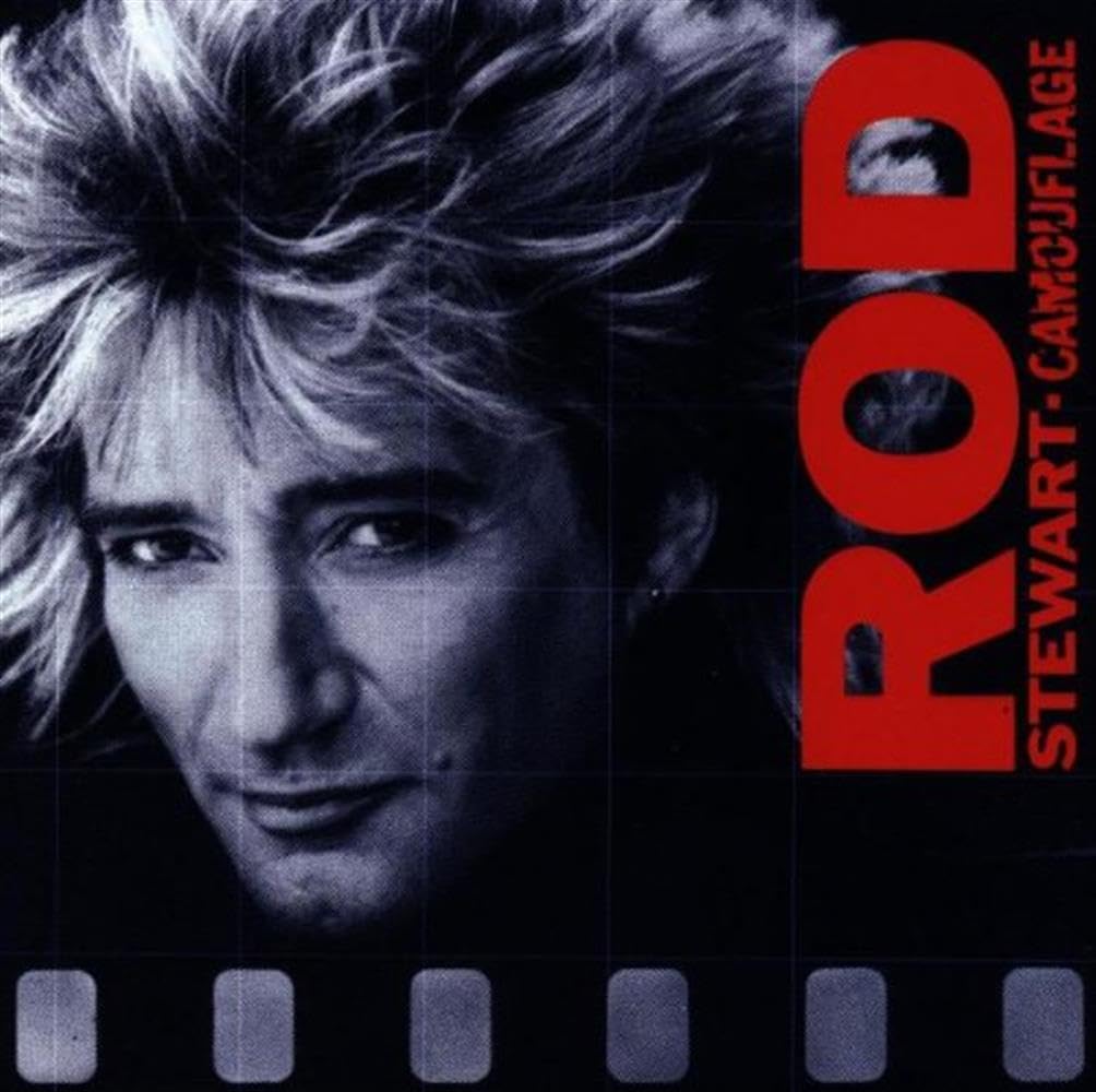 Camouflage [Audio CD] Rod Stewart; Robin LeMesurier; Kevin Savigar; Tony Brock; Gary Herbig; Jay Davis; Michael Landau; Michael Omartian; Jim Cregan; Jimmy "Z" Zavala; Jeff Beck; Todd Rundgren and Duane Hitchings