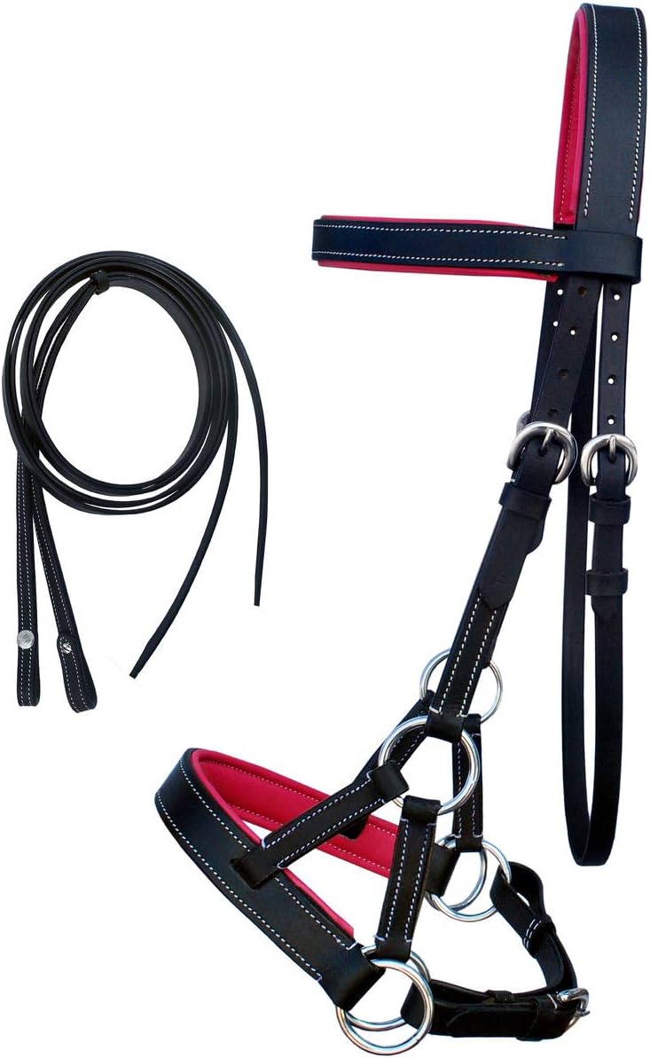 CHALLENGER Horse Western Cob Leather Training Tack Bitless Sidepull Bridle w/Reins 7711PK-C