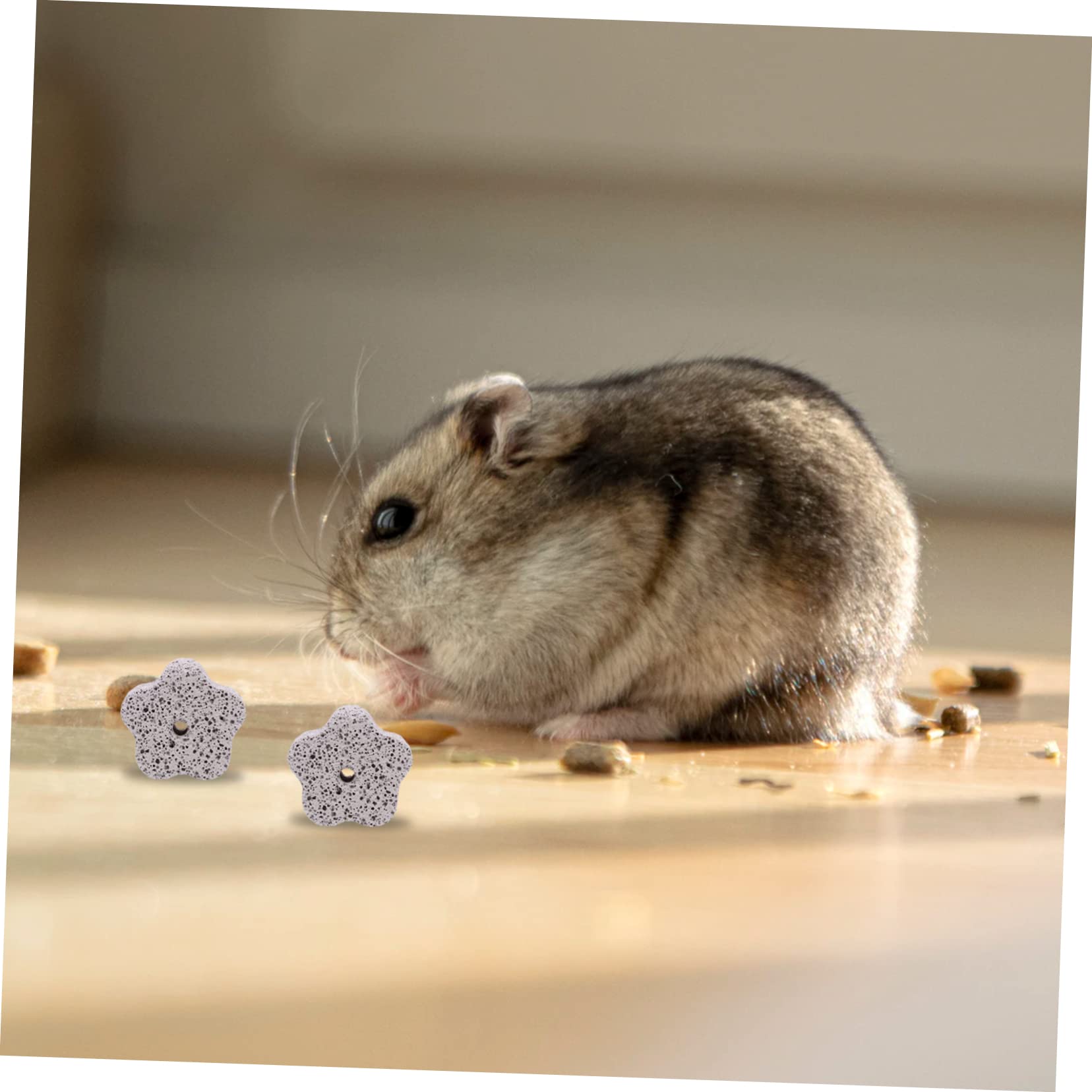 Beavorty 36stücke Shaped Calcium Chew Toy Für Hamster Und Ratten Nagenstein Zahnpflege Natürlich Und Langlebig Fördert Gesunde Zähne Und Verhindert Möbelbeschädigungen