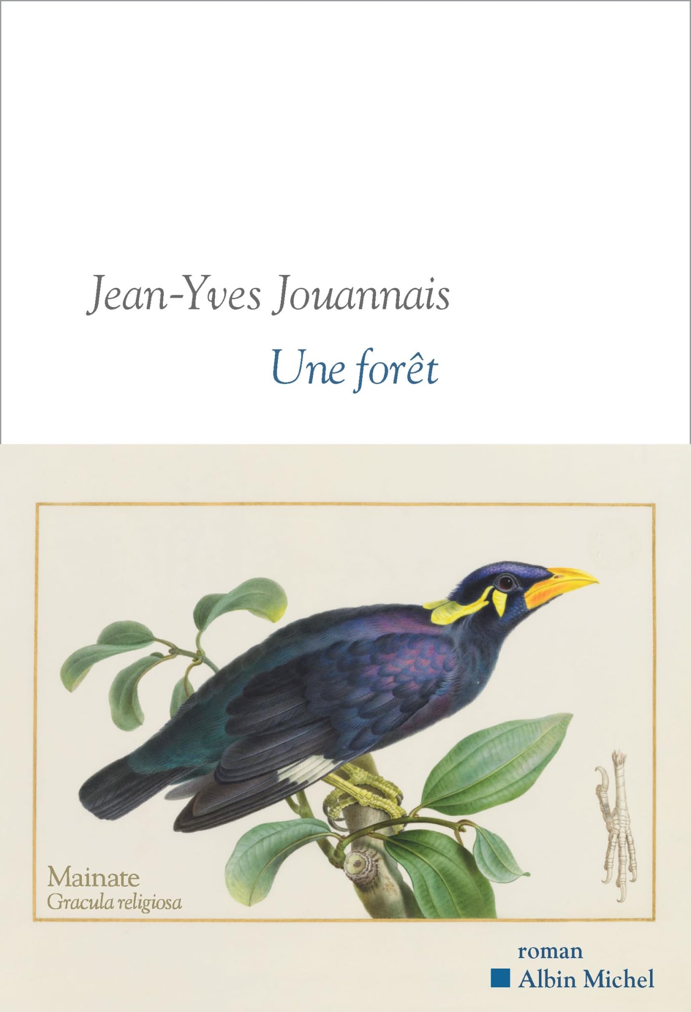 Une forêt
