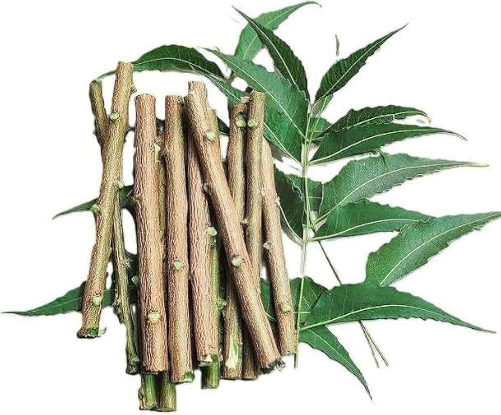 Neem Healthy Stick Natural Neem Tooth Cleaning Sticks for Gum Care and Teeth Strength, Size 5–7 Inch Traditional Herbal Use (20 Healthy Stick)-picture-37