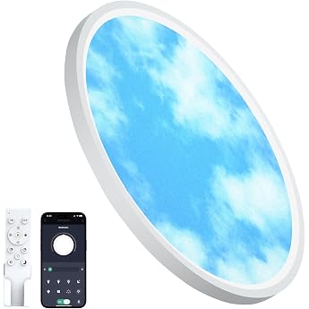 Sky LED Ceiling Light Diameter 40 cm 33 W Dimmable in Blue and White [Energy Class C]