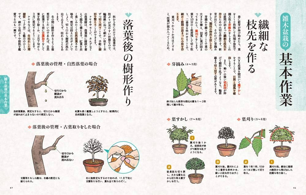 図解盆栽早わかり 小林 高 図解盆栽早わかり(小林高) / 古本倶楽部株式