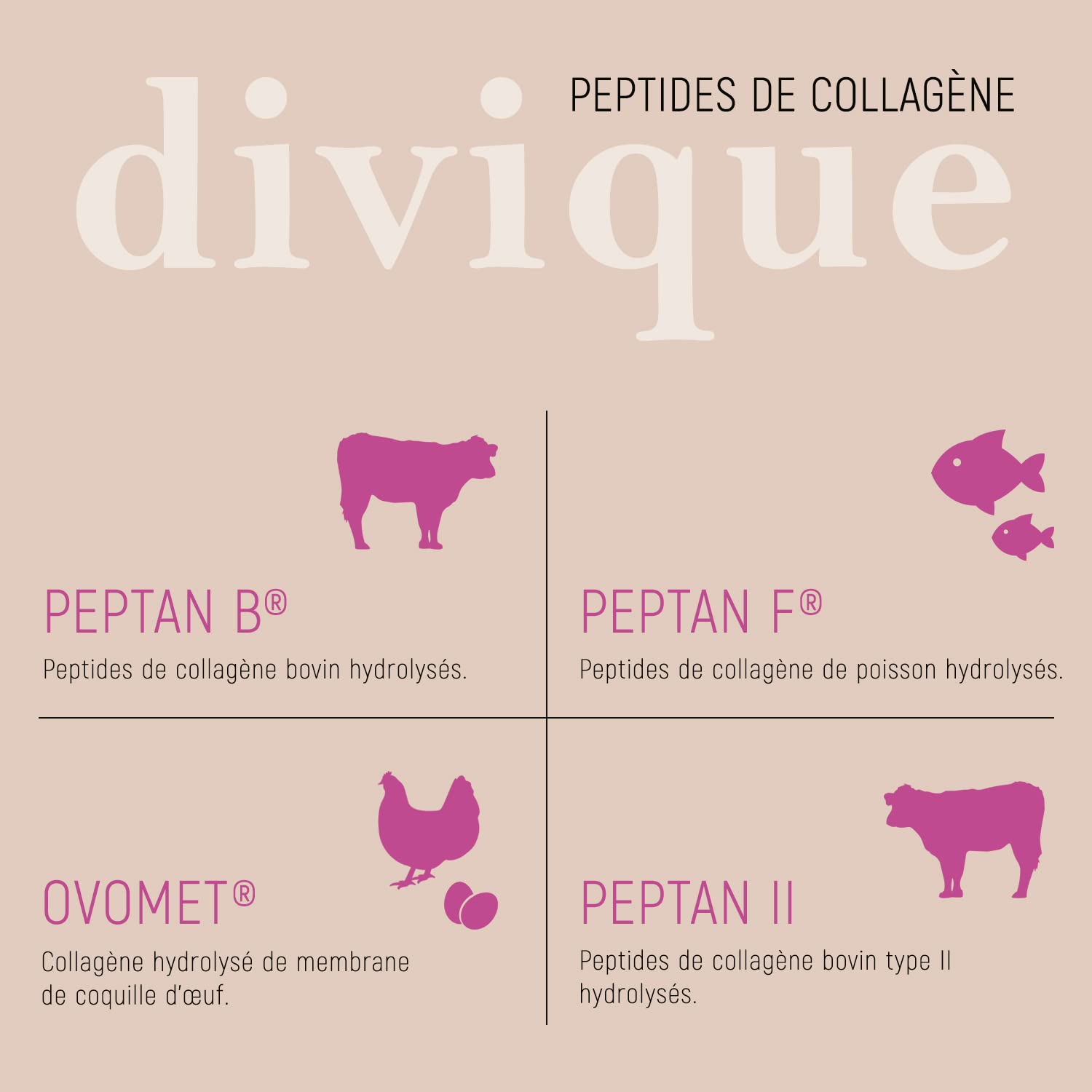 Divique poudre de collagène [500g] - premium multicollagène de type 1, 2, 3, 5, 10-100% peptides - 10 000 mg de collagène par jour - insipide, soluble, sans additifs