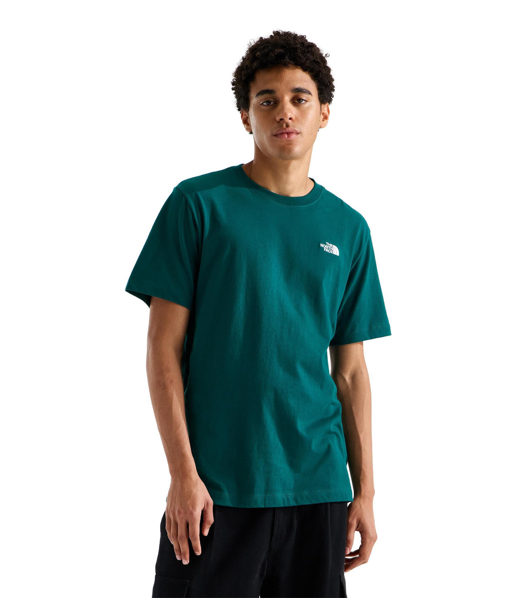 THE NORTH FACE Herren Evolution Simple Dome Regular Short Sl T-Shirt, Pacific Teal, M