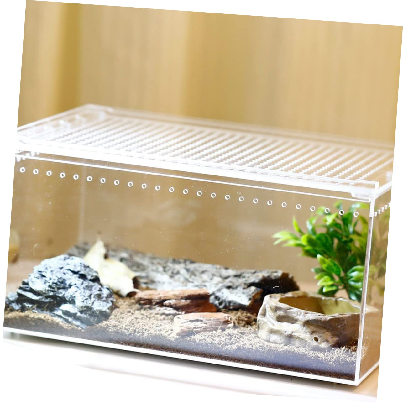 Caja de Reptiles Transparente de Acrílico, Diseño Antifugas | Hábitat de Cría, Alimentación de Agua y Comida, Uso para Serpientes y Otros Reptiles