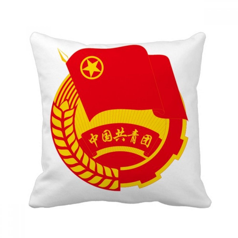 Emblème National Chinois Coussin Décoratif Finition Soignée 40x40cm