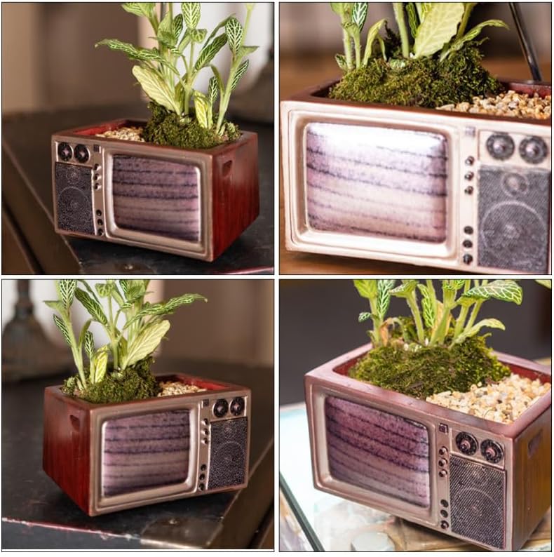 Miniatura 7 de POPETPOP Maceta retro  Maceta creativa de TV para plantas de interior, maceta retro novedosa para plantas suculentas, soporte de escritorio, mini