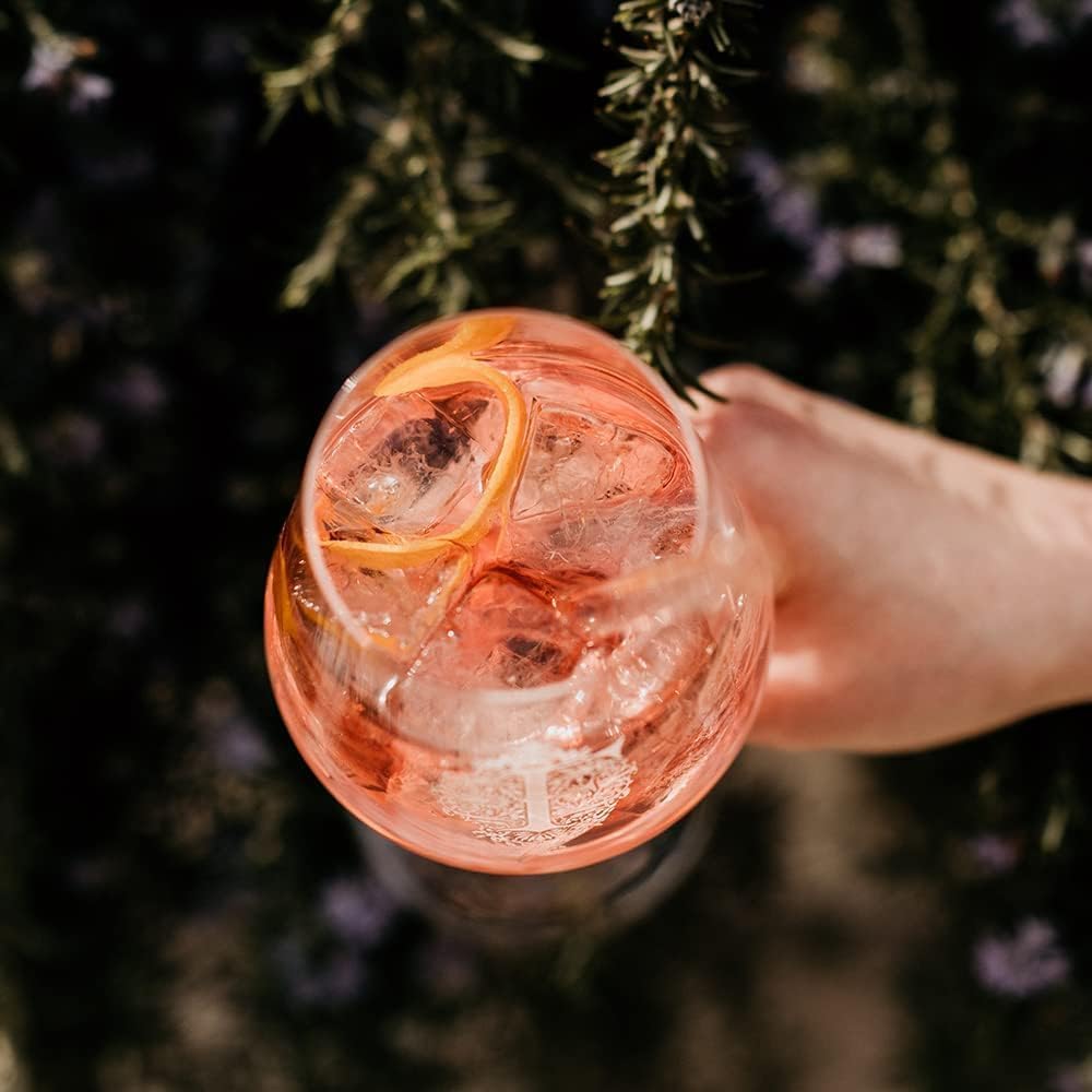 Ferdinand's Rosé Aperitif | Mit regionale Zutaten wie Rhabarber und Weinbergpfirsichen | Erfrischendes Sommergetränk |17% vol. | 500ml