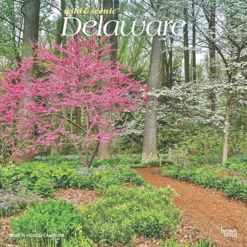 Delaware Wild & Scenic | 2025 12 x 24 Inch Monthly Square Wall Calendar | Plastic-Free | BrownTrout | USA United States of America Southeast State Nature
