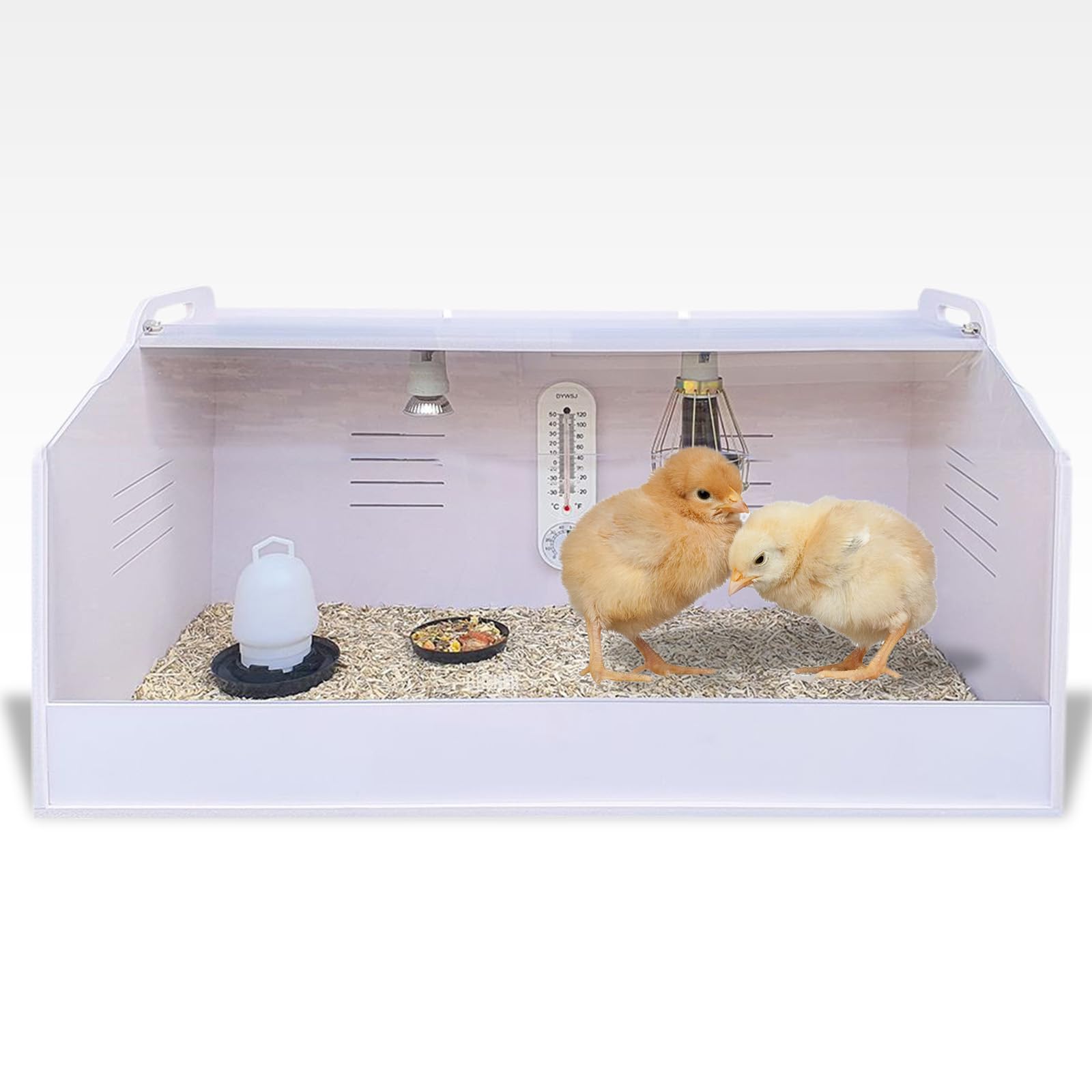 Breker Brutkasten Hühner [Komplettset] - Wärmelampe, Schutzkorb, Lichtquelle, Thermometer, Futterteller & Wassertränke | 80 x 40 x 40 cm | Kükenaufzuchtbox | Weiß