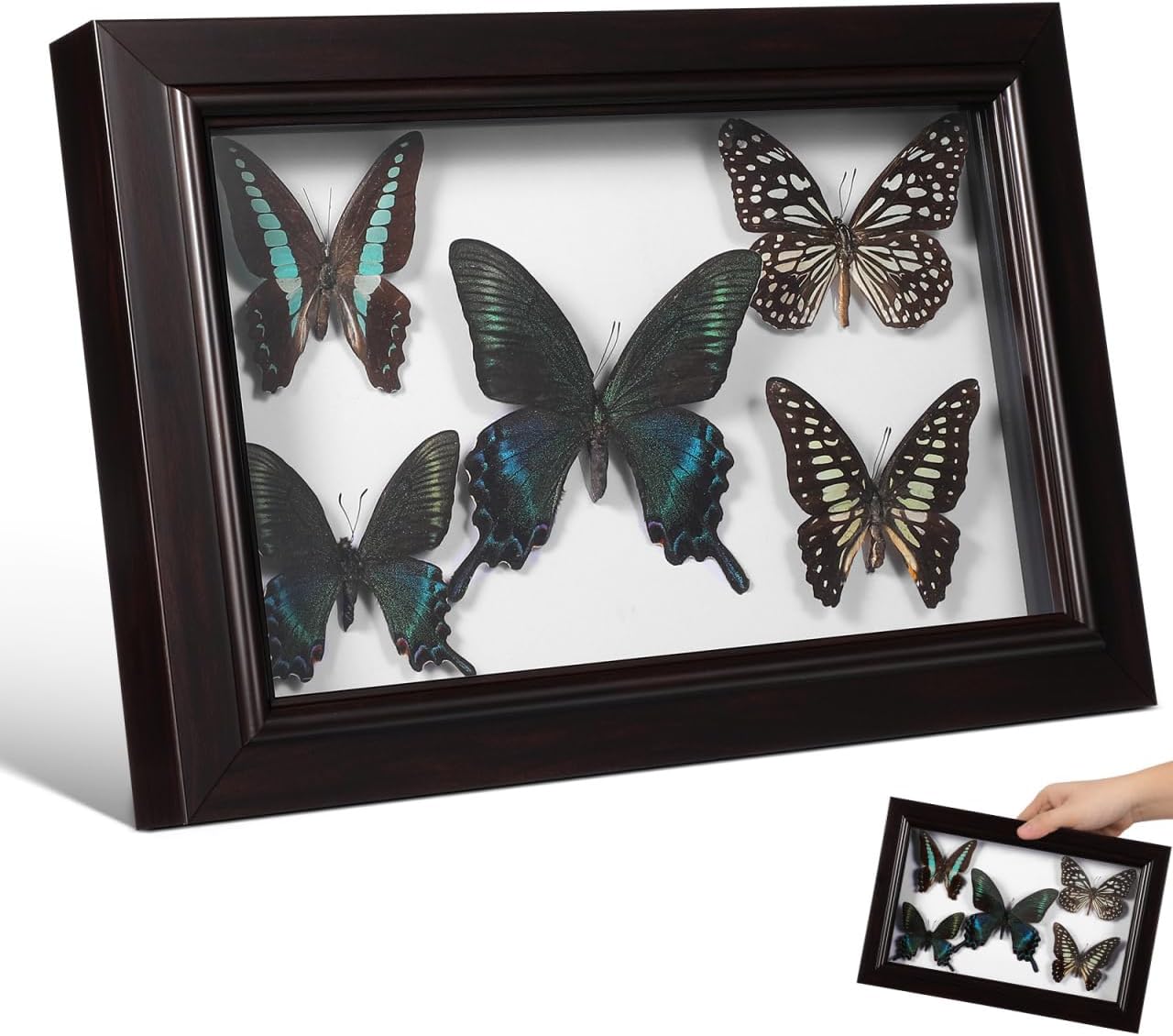 BESTOYARD Butterfly Specimen Photo Frame 11.8X7.9 Inch DIY Shadow Box Wall Decor for Home Display and Party Decoration with Realistic Framed Butterfly Art