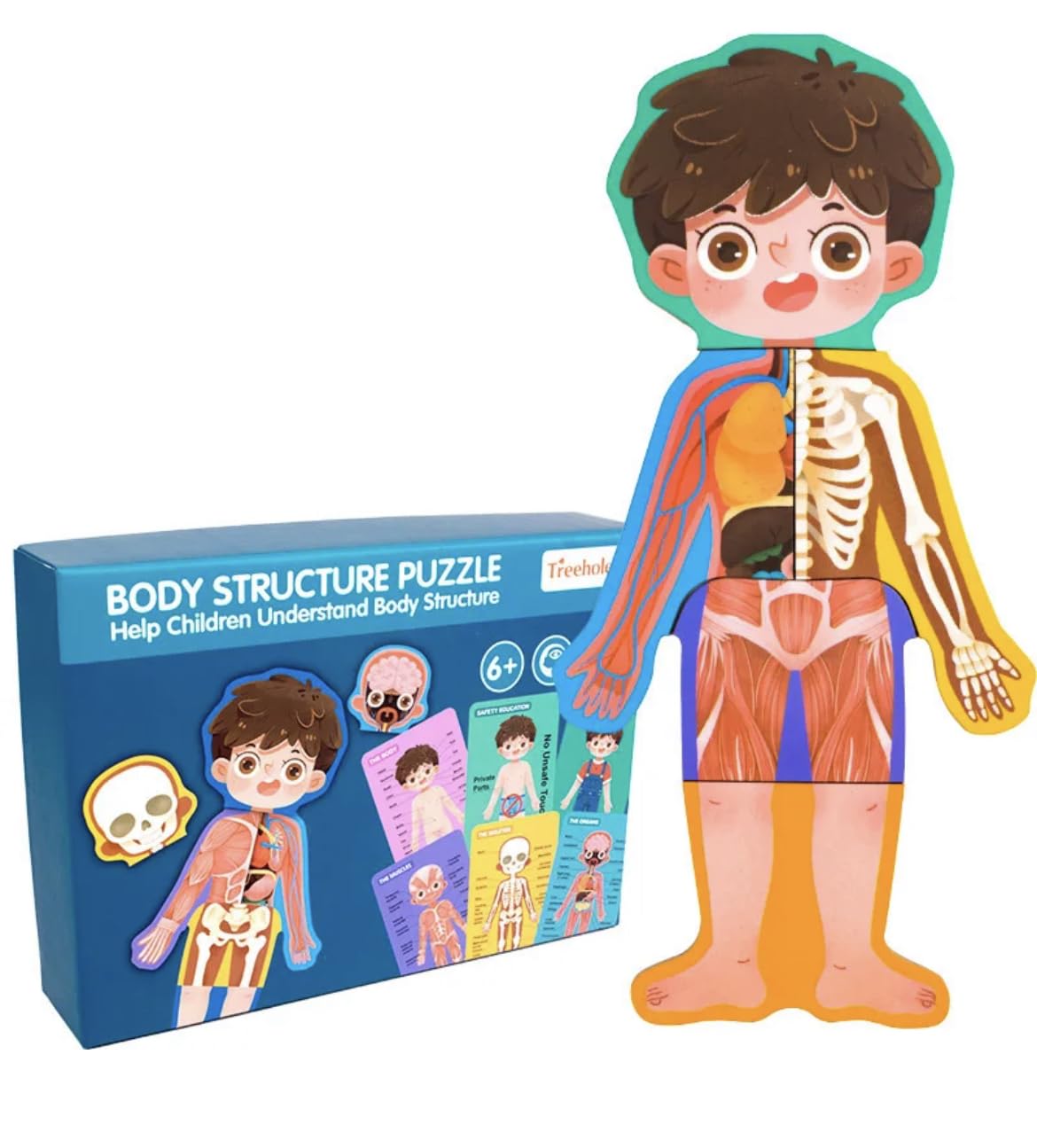 TOYARTSY Wooden Human Body Parts Structure Jigsaw Puzzle Set for Kids Toys | Parts of Body Organs Muscles Safety Education Puzzle Cards | Early Learning Human Body Structure Puzzle for Kids 6+Years (B0CHJHLDHC) Amazon Price History, Amazon Price Tracker