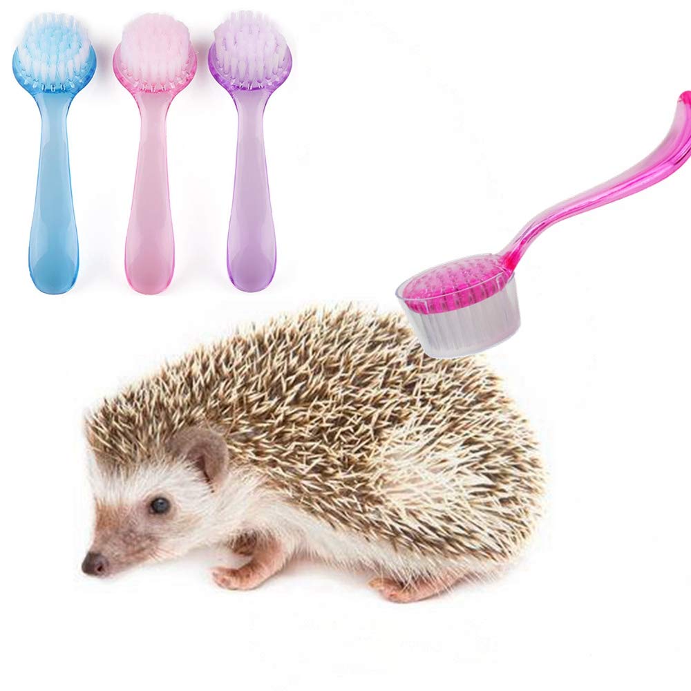 Hedgehog Bathing Brush, 3 Pack Small Pets Round Head Cleaning Bath Brush with Lid Super Soft Cleansing Brush Massage Comb for Hedgehog Small Animal Grooming Tool (3 Pack(Blue+Pink+Purple))