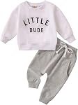 Toddler Baby Boy Outfit LITTLE DUDE Letter Long Sleeve Sweatshirts Long Pants Fall Spring Clothes