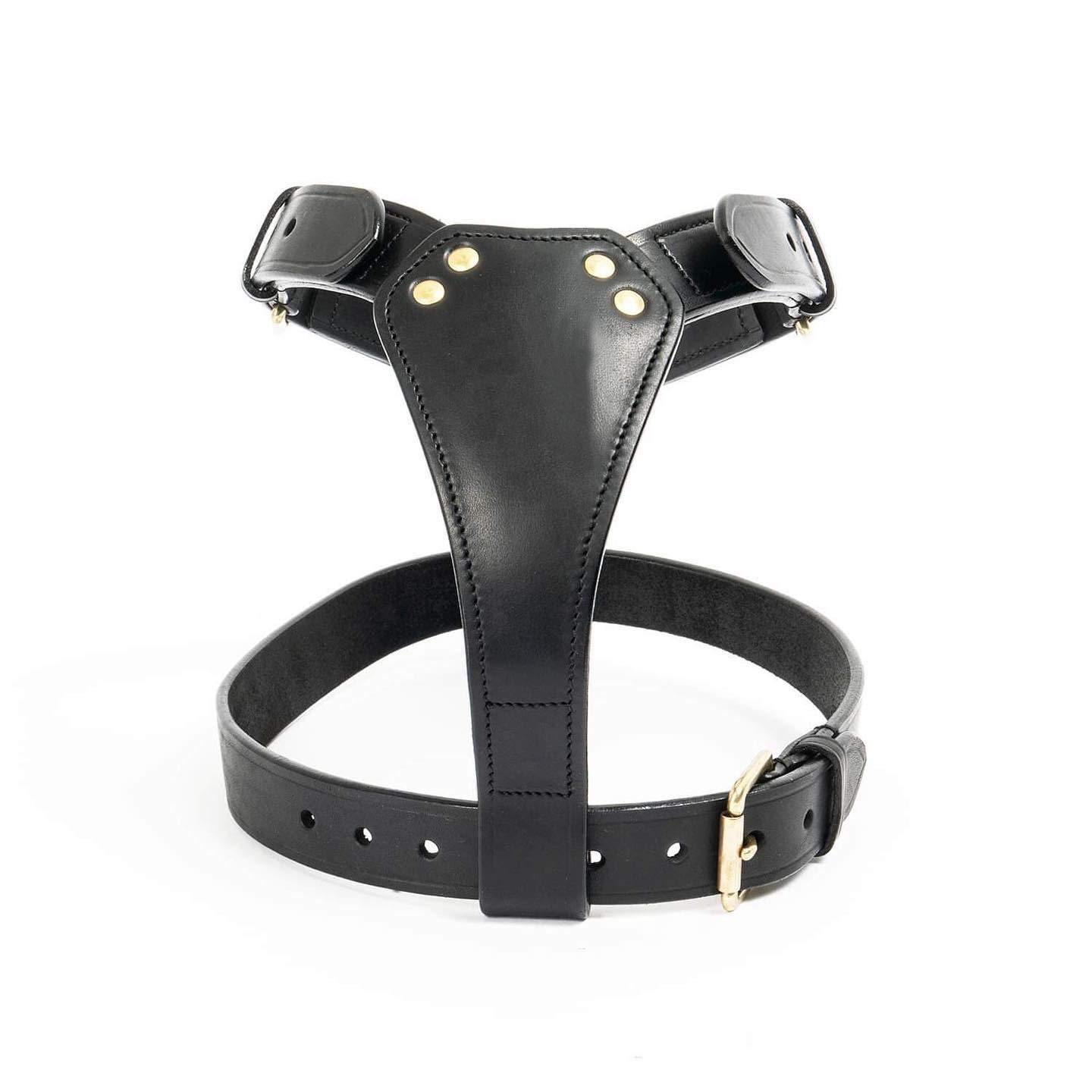TUGBY - Set di pettorina in pelle per cani con guinzaglio abbinato (nero, XL)