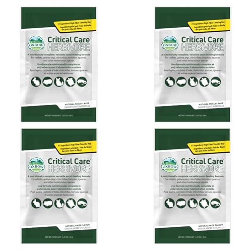 Oxbow Critical Care Herbivore Anice | Confezione da 4 | 4 x 36 g | Alimento complementare per erbivori | Fieno di fleolo ricco di fibre | Per supportare la digestione e la funzione intestinale