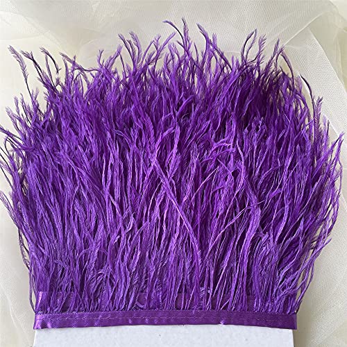 Bene Omnia - Plumas de avestruz con flecos, esponjosas, para hacer tocados y manualidades, 36 colores, paquete de 1 metro morado Cover