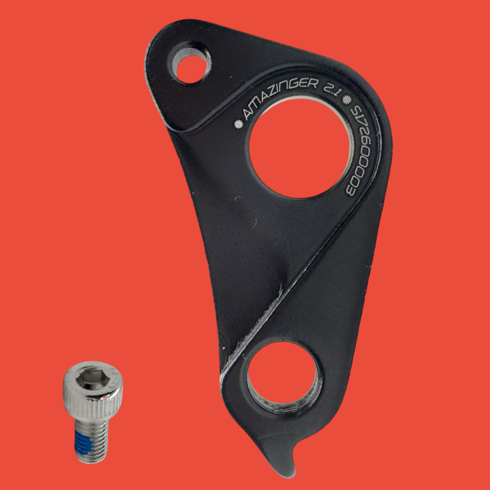 Amazon.com : Derailleur Hanger 301 (S16260002), Compatible with