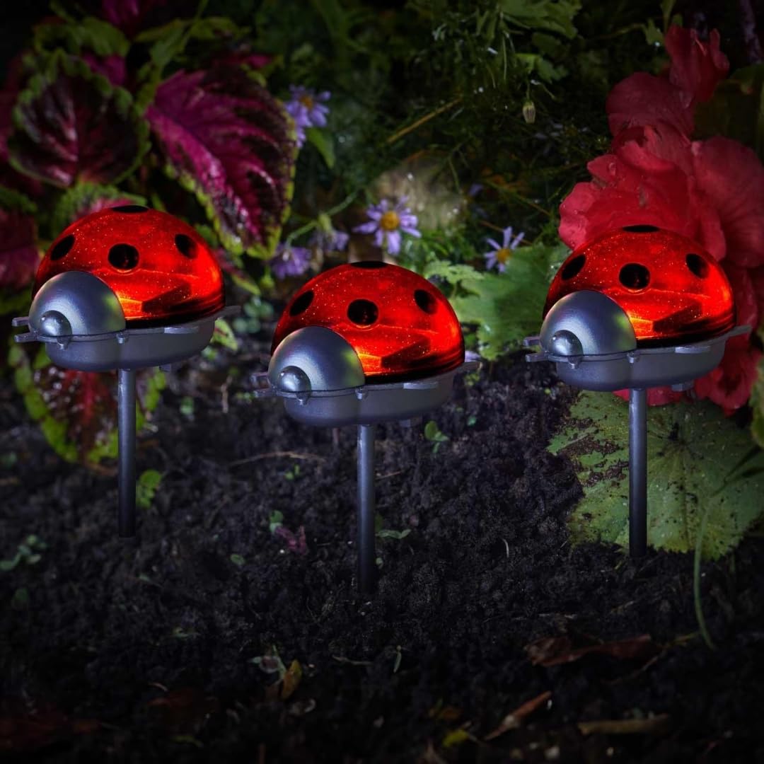 Garden Mile Set Of 3 Ladybird Solar Stake Lights Brightly Coloured Solar Garden Lights Outdoor Waterproof Ideal For Flowerbeds Borders Driveway Pathway Lighting Outdoor Decorations