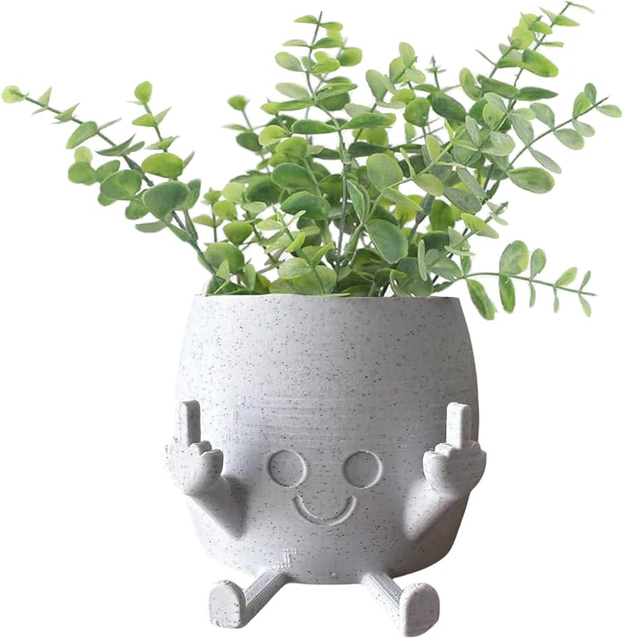 Amazon.com: rehitay Smiling Plant Pot with Middle Fingers Up