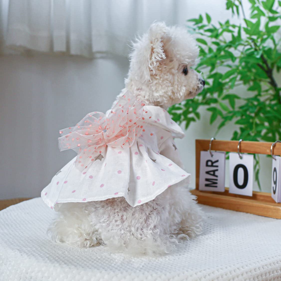 犬猫ワンピース 着物風ワンピース 犬 猫 | LEAandRIO
