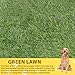 WIYETY Hundeklo Kunstrasen Hundetoilette, 50x70cm Welpentoilette Trainingsunterlage, Training Pee Pads, Waschbar Hunde Training Rasenmatte, Wasserdicht Hundetoilette für Zuhause, Wohnung