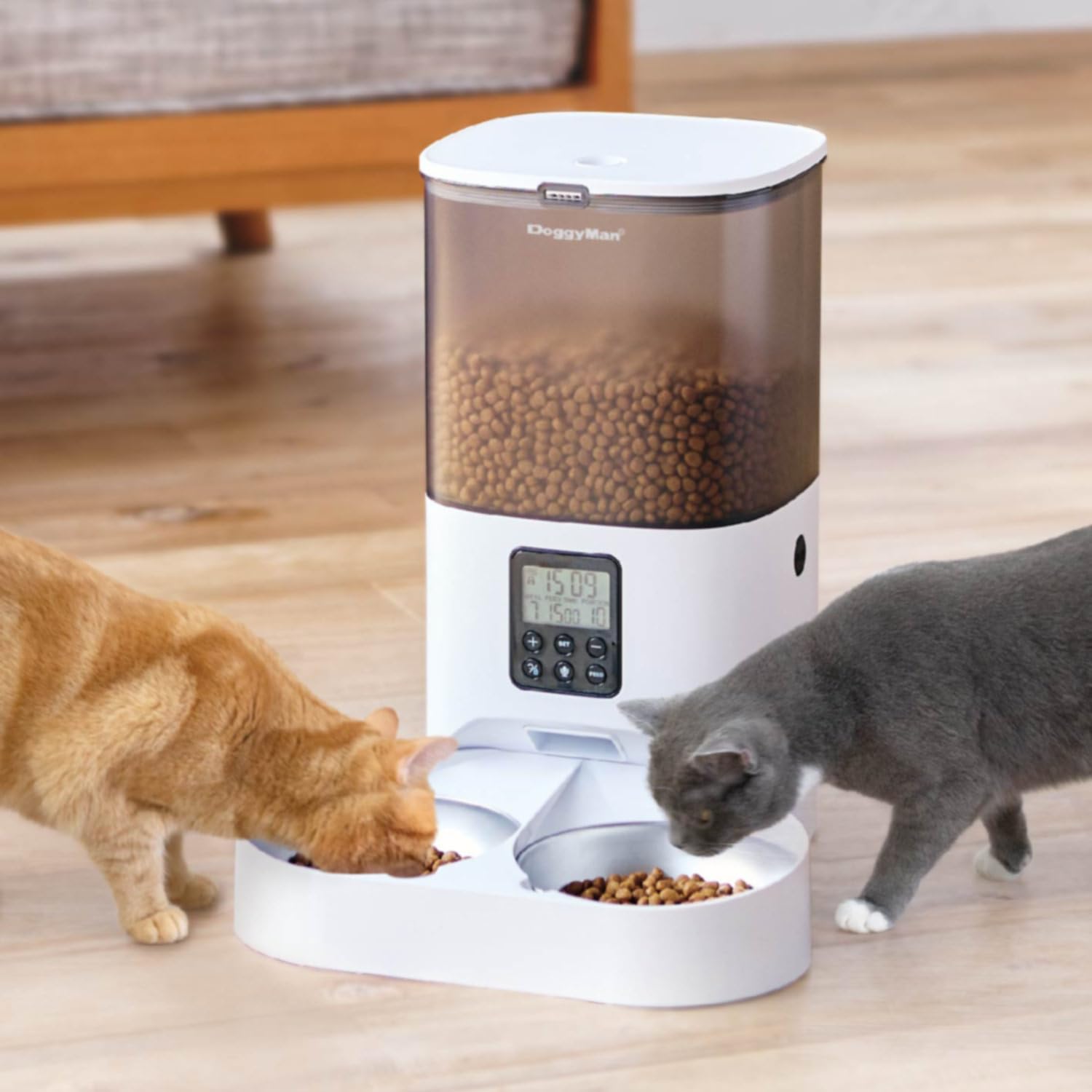 Amazon | ドギーマン なかよく食べる 自動給餌食器 ツイン 