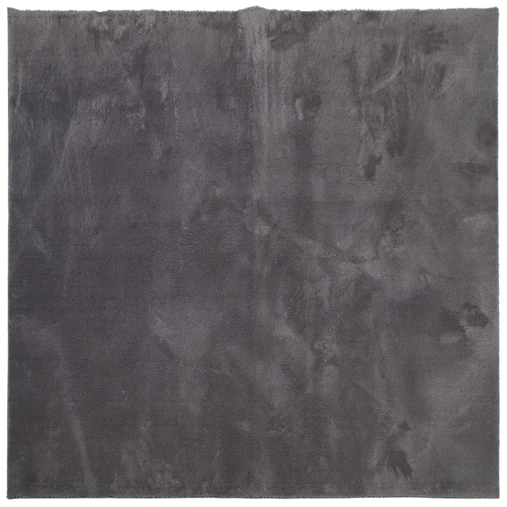 vidaXL Teppich HUARTE Kurzflor Weich und Waschbar Anthrazit 120x120 cm