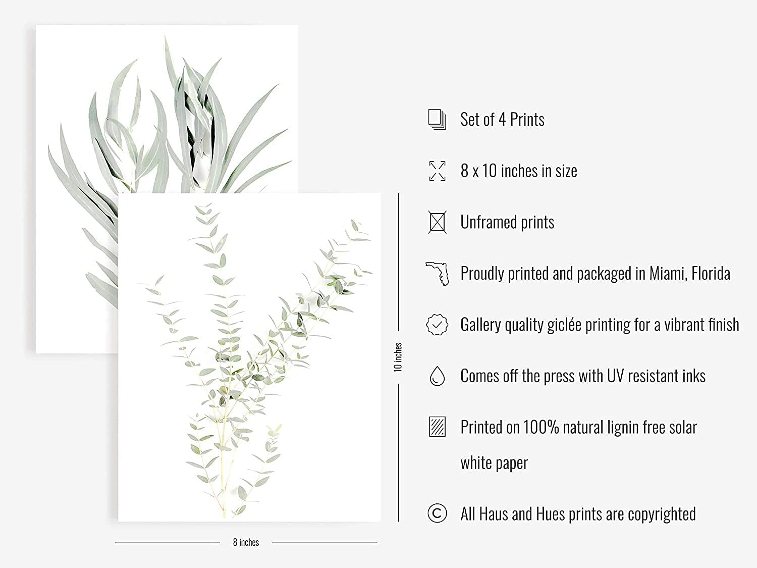 DELFINO Botanical Plant Wall Art Prints - Plant Wall Decor Pictures Minimalist Wall Art Photo Prints Kitchen Leaves Wall Art Boho Leaf Eucalyptus Green Botanical Poster Set of 4 (8"x10", Unframed)