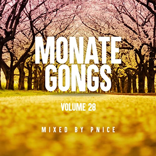 Episode 4: Monate Gongs Vol 28 Mixed by Pnice cover art