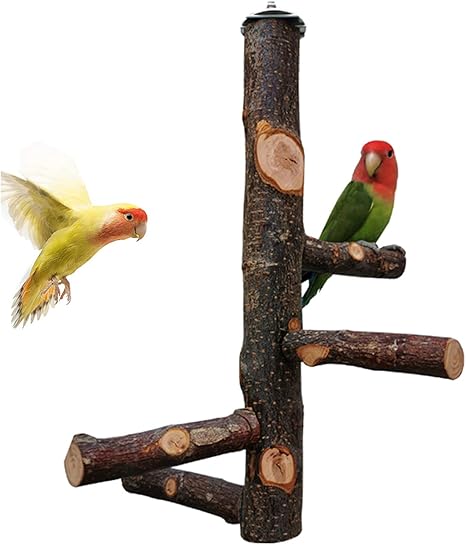 amazon bird supplies