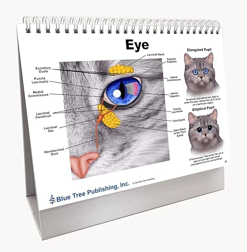 Miniatura 6 de Cuadernos de bolsillo de anatomía veterinaria para gatos, libro de ejercicios felinos de anatomía y fisiología veterinaria -30 páginas, 5 x 3