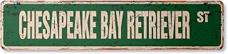 Chesapeake Bay Retriever Vintage Plastic Street Sign Name Room Sign | Indoor/Outdoor | 18" Wide