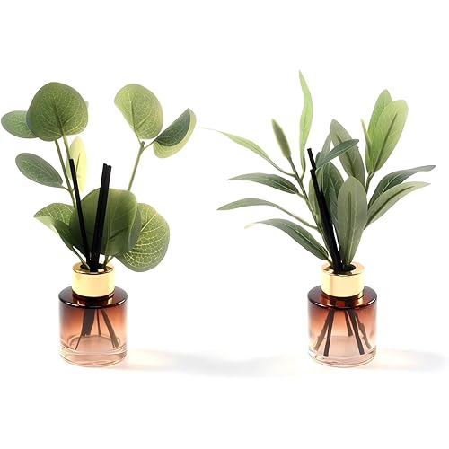 2 Pcs Empty Reed Diffuser Glass Bottle Set, 50ml Scent Diffuser Empty Bottle with Sticks Eucalyptus, Fragrance Aromatherapy Essential Oil DIY Jar for Home Shelf Bedroom Bathroom Office Decor (D)