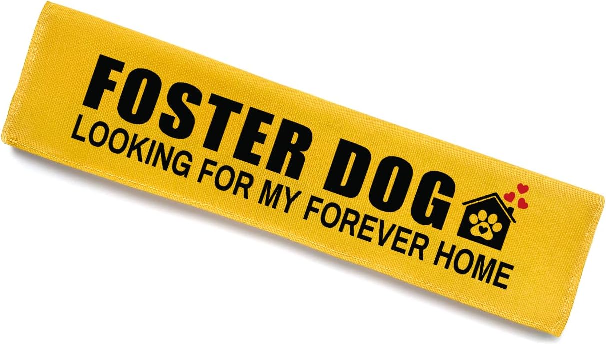 Adopt Me I’m A Foster Dog Leash Sleeve - Funny Yellow Alert Wrap with Hanging ID Patch | No Pet Leash Accessory, Perfect Pet Birthday Gift for Dog Owners
