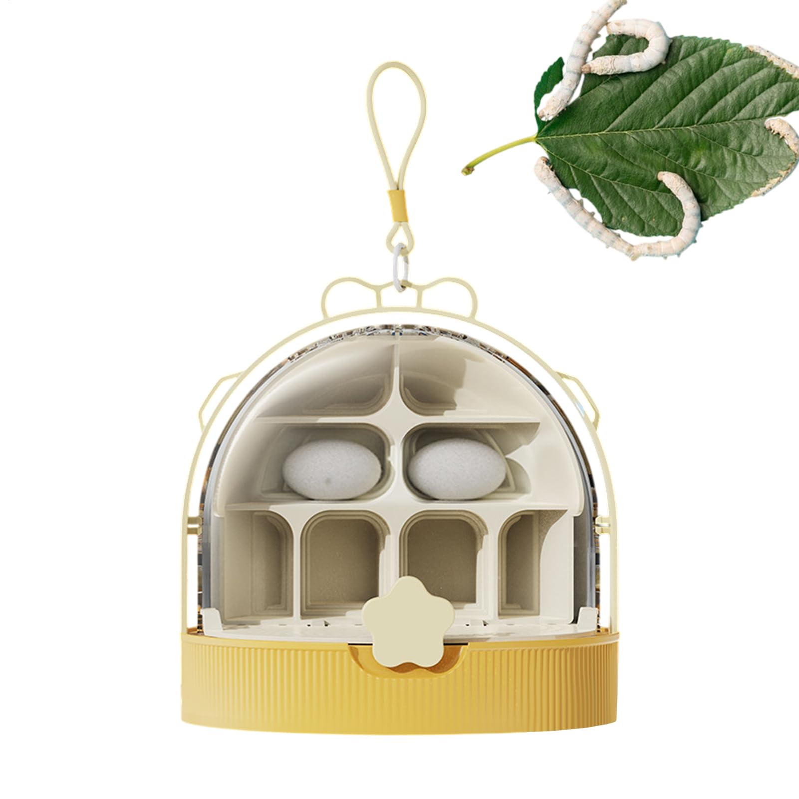 De Cría De Seda – Contenedor De Crianza De Observación De Insectos, Hábitat Transparente para | Insectos Educativos, Estuche De Crianza De Caracoles Mariposas, Vivarium Mascota — view 5