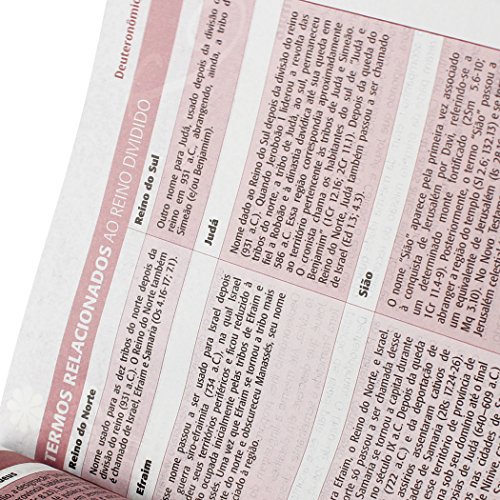 A Bíblia da Mulher - Couro sintético Vinho com pedras Tamanho Médio: Almeida Revista e Atualizada (A