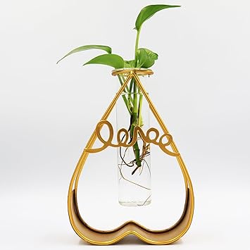 SOSFKIM Plant Terrarium with Metal Stand, Desktop Air Planter Bulb Glass Vase for Indoor Live Hydroponics Plants Home Garden Office Decoration (AX-Gold)