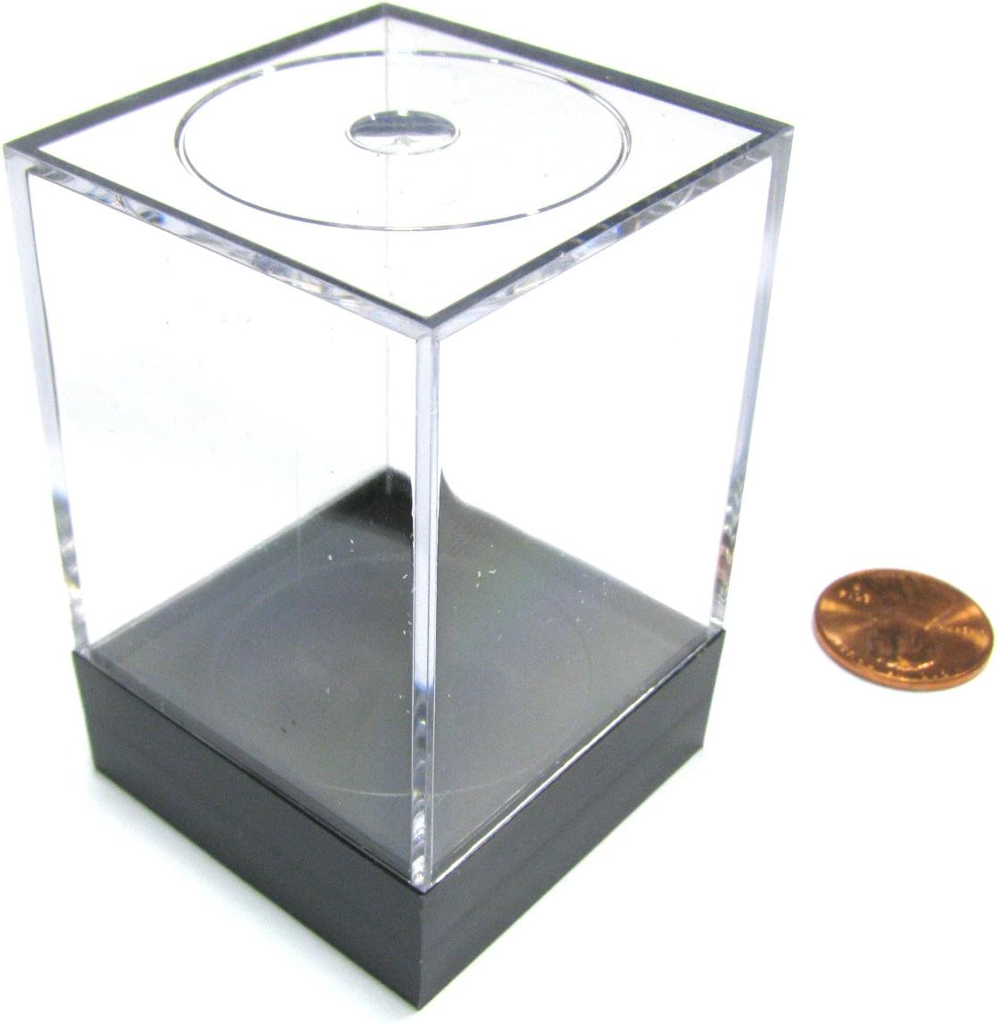 Dice Plastic Figure Display Box Medium