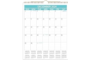 2024-2025 Wall Calendar - Plan for Success