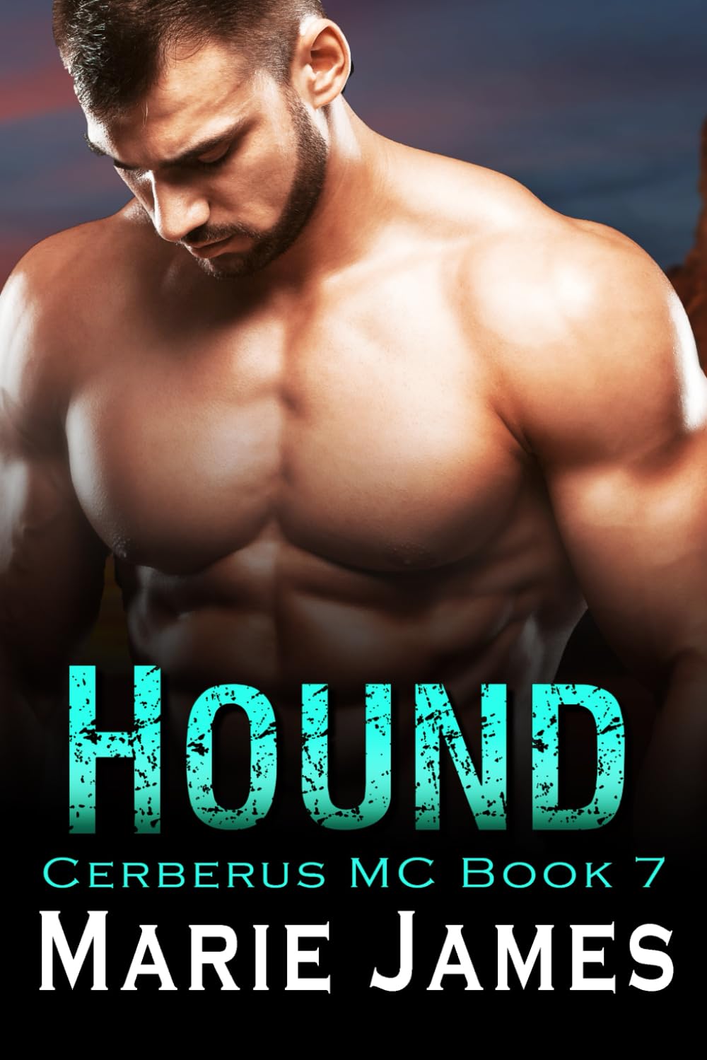Hound: Cerberus MC Book 7