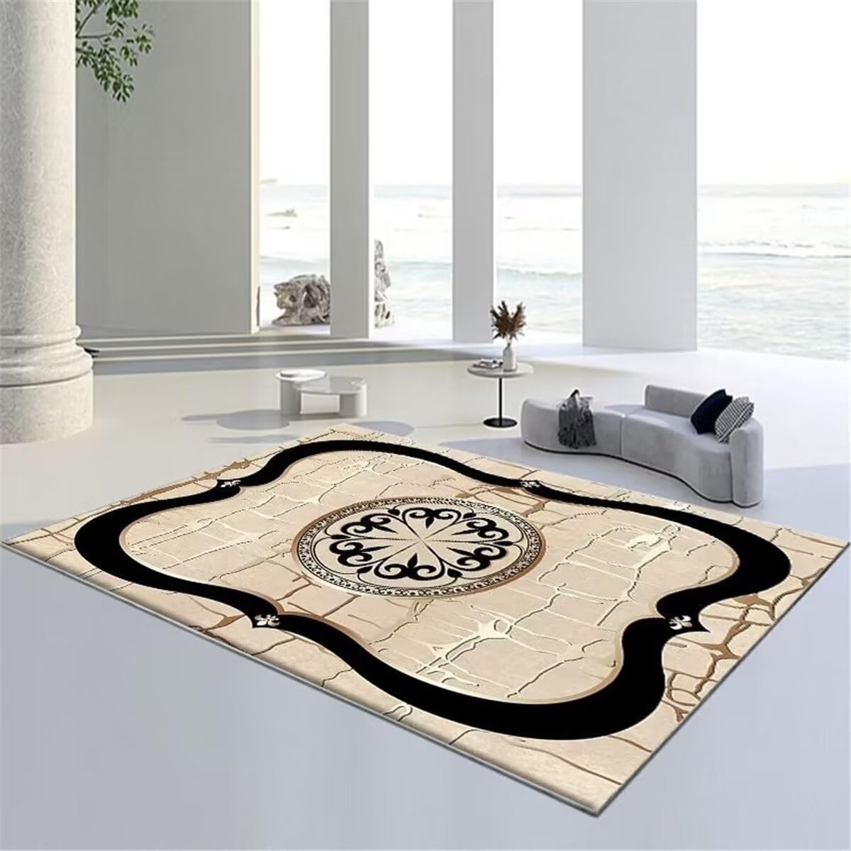 Tapis exterieur balcon 60x120 et accessoires de couloir de salon