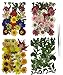 Roqueen 127 Piezas Naturales Flores Prensadas Secas para Resina con Pinzas para Scrapbooking DIY Vela Decoración Joyas Artesanía Tarjetas Haciendo(4 Paquetes)