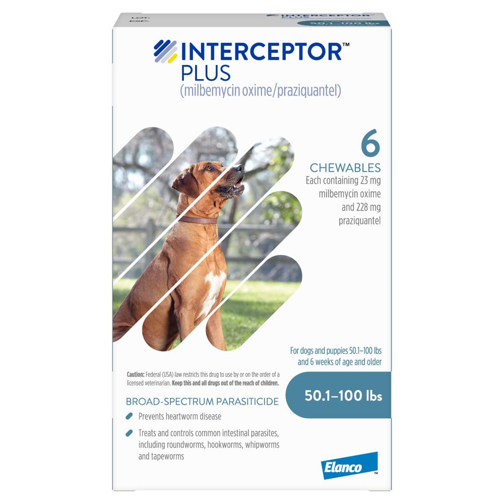 Interceptor Plus